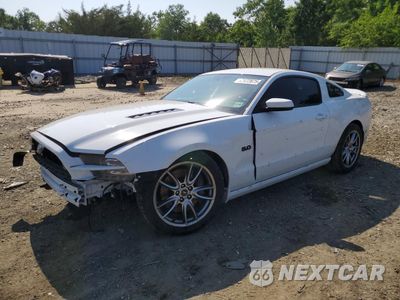 2014 FORD MUSTANG GT 1ZVBP8CF5E5271162 - główne zdjęcie licytacji z USA - miniatura