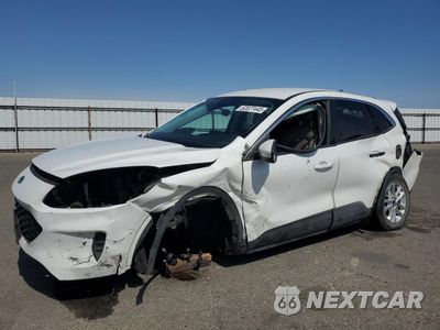 2021 FORD ESCAPE SE 1FMCU9BZ1MUA22679 - główne zdjęcie licytacji z USA - miniatura