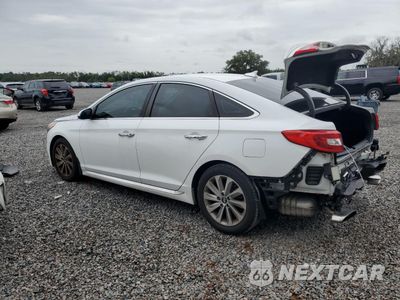 Drugie zdjęcie samochodu z przodu: 2016 HYUNDAI SONATA SPORT VIN:5NPE34AF7GH346261 - miniatura