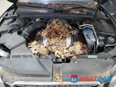 Zdjęcie 11 z 12 samochodu: 2010 AUDI S5 PRESTIGE VIN:WAUVVAFRXAA053042 - miniatura