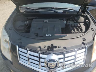 Zdjęcie 12 z 13 samochodu: 2013 CADILLAC SRX LUXURY COLLECTION VIN:3GYFNGE30DS646235 - miniatura