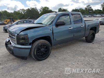 2009 CHEVROLET SILVERADO C1500 3GCEC13C09G229456 - główne zdjęcie licytacji z USA - miniatura