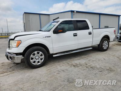 2013 FORD F150 SUPERCREW 1FTFW1CF4DFC51072 - główne zdjęcie licytacji z USA - miniatura