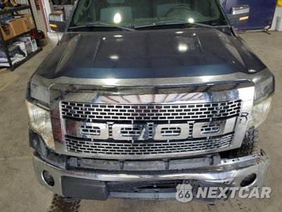 Zdjęcie 11 z 12 samochodu: 2013 FORD F150 SUPERCREW VIN:1FTFW1EF3DFD18466 - miniatura