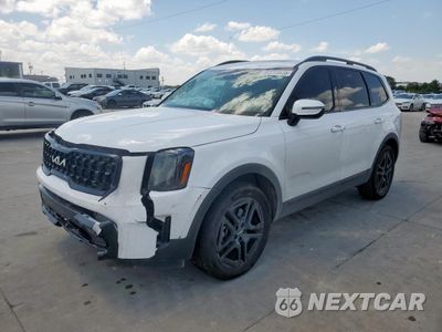 2024 KIA TELLURIDE EX 5XYP3DGC8RG476579 - główne zdjęcie licytacji z USA - miniatura