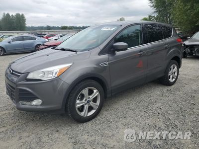 2013 FORD ESCAPE SE 1FMCU0GX4DUD86095 - główne zdjęcie licytacji z USA - miniatura