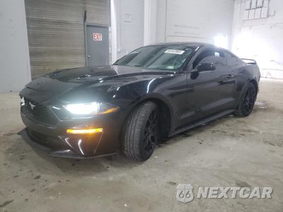 2019 FORD MUSTANG 1FA6P8TH6K5191845 - główne zdjęcie licytacji z USA - miniatura