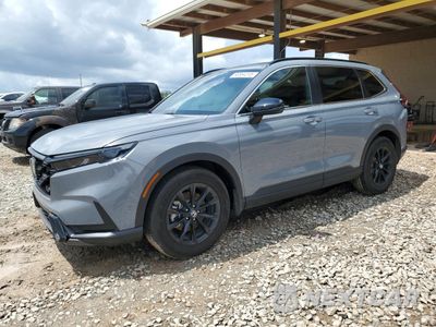 2025 HONDA CR-V SPORT 7FARS5H54SE026513 - główne zdjęcie licytacji z USA - miniatura