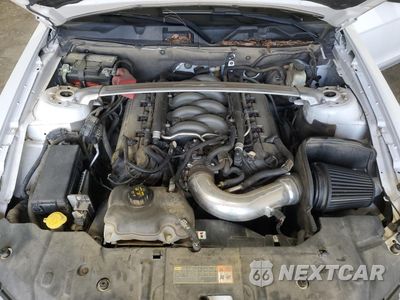 Zdjęcie 11 z 14 samochodu: 2014 FORD MUSTANG GT VIN:1ZVBP8CF0E5274342 - miniatura
