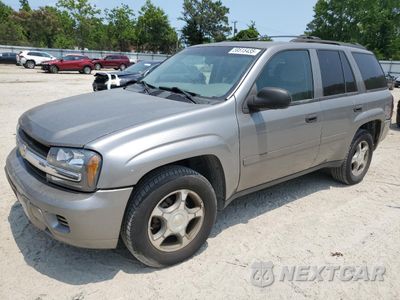 2008 CHEVROLET TRAILBLAZER LS 1GNDT13SX82215940 - główne zdjęcie licytacji z USA - miniatura