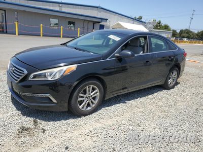 2015 HYUNDAI SONATA SE 5NPE24AFXFH255504 - główne zdjęcie licytacji z USA - miniatura