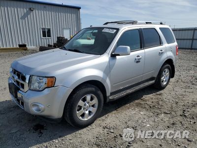 2011 FORD ESCAPE LIMITED 1FMCU9EG1BKB46776 - główne zdjęcie licytacji z USA - miniatura