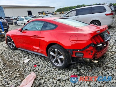 Drugie zdjęcie samochodu z przodu: 2017 FORD MUSTANG VIN:1FA6P8TH9H5304535 - miniatura