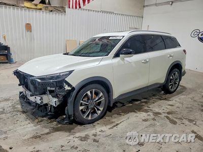 2023 INFINITI QX60 LUXE 5N1DL1FR4PC359134 - główne zdjęcie licytacji z USA - miniatura