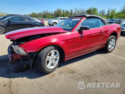 2014 FORD MUSTANG 1ZVBP8EM2E5205499 - główne zdjęcie licytacji z USA - miniatura