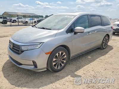2024 HONDA ODYSSEY EXL 5FNRL6H68RB005195 - główne zdjęcie licytacji z USA - miniatura