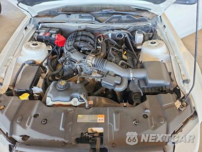 Zdjęcie 11 z 12 samochodu: 2013 FORD MUSTANG VIN:1ZVBP8AM0D5259033 - miniatura
