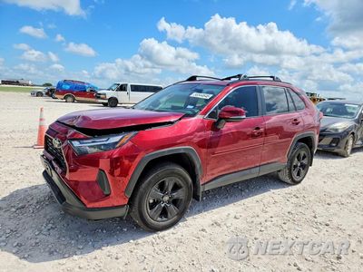 2024 TOYOTA RAV4 XLE 2T3W1RFV1RW331628 - główne zdjęcie licytacji z USA - miniatura