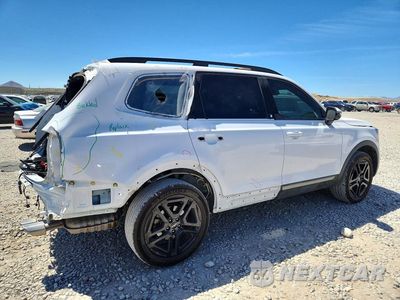 Trzecie zdjęcie samochodu z tyłu: 2023 KIA TELLURIDE SX X-LINE VIN:5XYP5DGC3PG393844 - miniatura