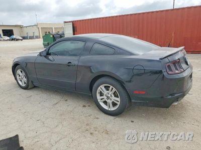 Drugie zdjęcie samochodu z przodu: 2013 FORD MUSTANG VIN:1ZVBP8AM0D5215839 - miniatura
