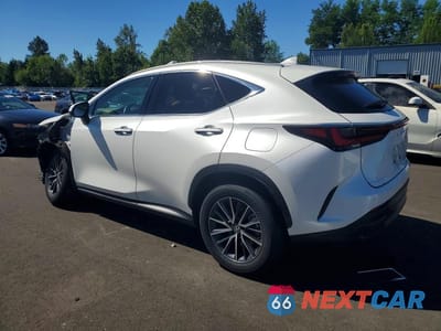 Drugie zdjęcie samochodu z przodu: 2024 LEXUS NX 350H PREMIUM VIN:2T2GKCEZ6RC019930 - miniatura