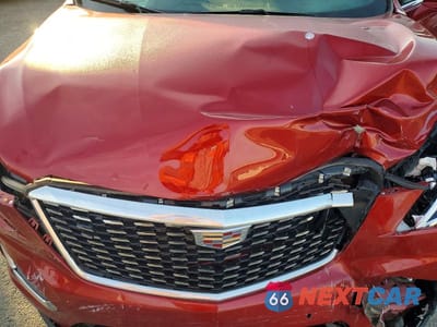 Zdjęcie 12 z 13 samochodu: 2021 CADILLAC XT5 PREMIUM LUXURY VIN:1GYKNDRS9MZ108120 - miniatura