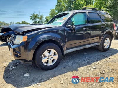 2011 FORD ESCAPE XLT 1FMCU0DG0BKA66009 - główne zdjęcie licytacji z USA - miniatura