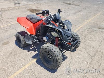 2022 CAN-AM DS 250 - ATV RFGUB2514NS030135 - główne zdjęcie licytacji z USA - miniatura