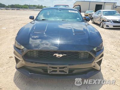Piąte zdjęcie samochodu w środku: 2019 FORD MUSTANG VIN:1FA6P8TH3K5122997 - miniatura
