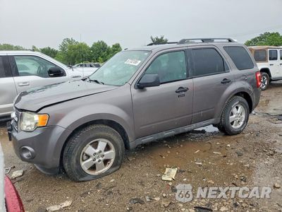 2010 FORD ESCAPE XLT 1FMCU9DG5AKB42469 - główne zdjęcie licytacji z USA - miniatura