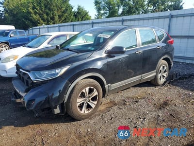 2019 HONDA CR-V LX 2HKRW6H39KH216409 - główne zdjęcie licytacji z USA - miniatura