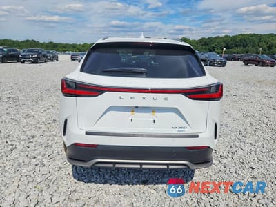 Zdjęcie 6 z 11 samochodu: 2026 LEXUS NX 350 F SPORT HANDLING VIN:2T2KGCEZ3TC113699 - miniatura