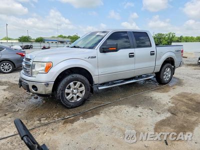 2013 FORD F150 SUPERCREW 1FTFW1ET8DFA28472 - główne zdjęcie licytacji z USA - miniatura