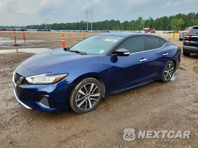2021 NISSAN MAXIMA SV 1N4AA6CV3MC505956 - główne zdjęcie licytacji z USA - miniatura