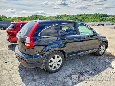 Trzecie zdjęcie samochodu z tyłu: 2009 HONDA CR-V EXL VIN:5J6RE48769L044219 - miniatura