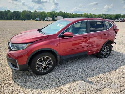 2022 HONDA CR-V EX 2HKRW2H56NH658546 - główne zdjęcie licytacji z USA - miniatura