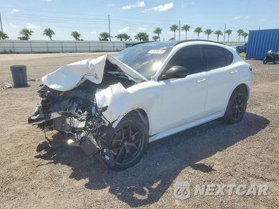 2021 ALFA ROMEO STELVIO TI ZASPAKBNXM7D15716 - główne zdjęcie licytacji z USA - miniatura