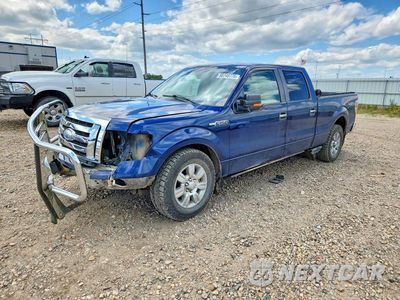 2009 FORD F150 SUPERCREW 1FTPW14V59FB30410 - główne zdjęcie licytacji z USA - miniatura