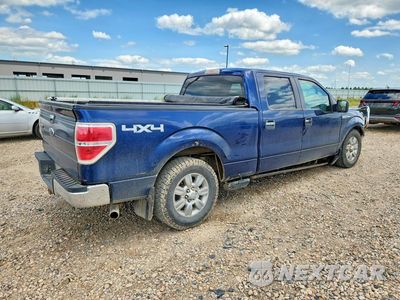 Trzecie zdjęcie samochodu z tyłu: 2009 FORD F150 SUPERCREW VIN:1FTPW14V59FB30410 - miniatura