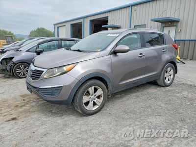 2013 KIA SPORTAGE LX KNDPBCA21D7517184 - główne zdjęcie licytacji z USA - miniatura