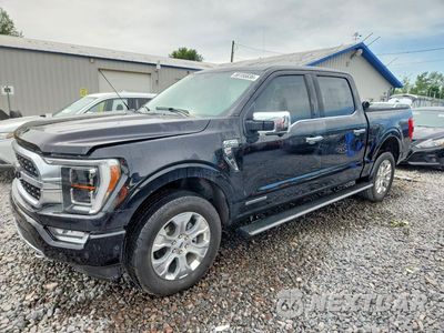 2023 FORD F150 SUPERCREW 1FTFW1EDXPFC32803 - główne zdjęcie licytacji z USA - miniatura