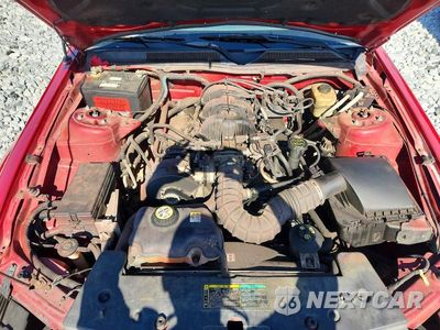 Zdjęcie 11 z 12 samochodu: 2005 FORD MUSTANG VIN:1ZVFT80N155116312 - miniatura