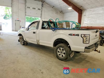 Drugie zdjęcie samochodu z przodu: 2020 FORD F150 VIN:1FTMF1EP4LKD04260 - miniatura