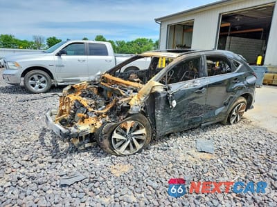 2021 LEXUS NX 300 BASE JTJGARDZ8M5029230 - główne zdjęcie licytacji z USA - miniatura