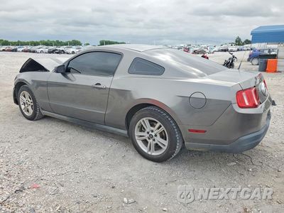 Drugie zdjęcie samochodu z przodu: 2010 FORD MUSTANG VIN:1ZVBP8AN3A5151509 - miniatura