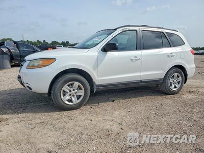 2009 HYUNDAI SANTA FE GLS 5NMSG13DX9H274666 - główne zdjęcie licytacji z USA - miniatura
