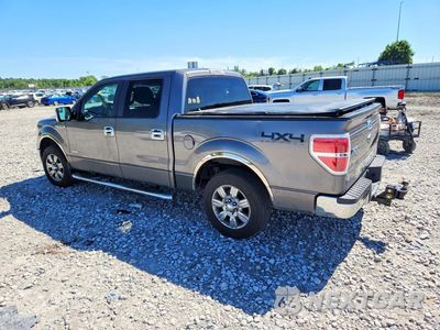 Drugie zdjęcie samochodu z przodu: 2011 FORD F150 SUPERCREW VIN:1FTFW1CT8BFB81837 - miniatura