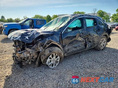 2024 FORD ESCAPE ACTIVE 1FMCU9GN8RUB02641 - główne zdjęcie licytacji z USA - miniatura