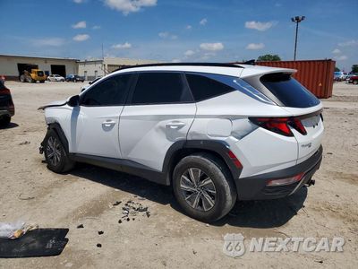 Drugie zdjęcie samochodu z przodu: 2024 HYUNDAI TUCSON BLUE VIN:KM8JBCD13RU232659 - miniatura
