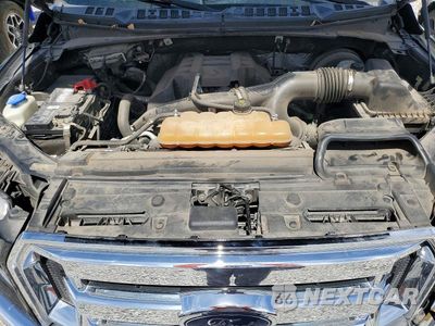 Zdjęcie 11 z 12 samochodu: 2016 FORD F150 SUPERCREW VIN:1FTEW1CP6GKF12380 - miniatura